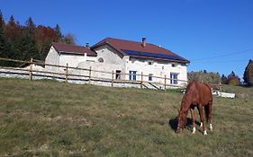 Chambres D'Hote Des 3 Marches